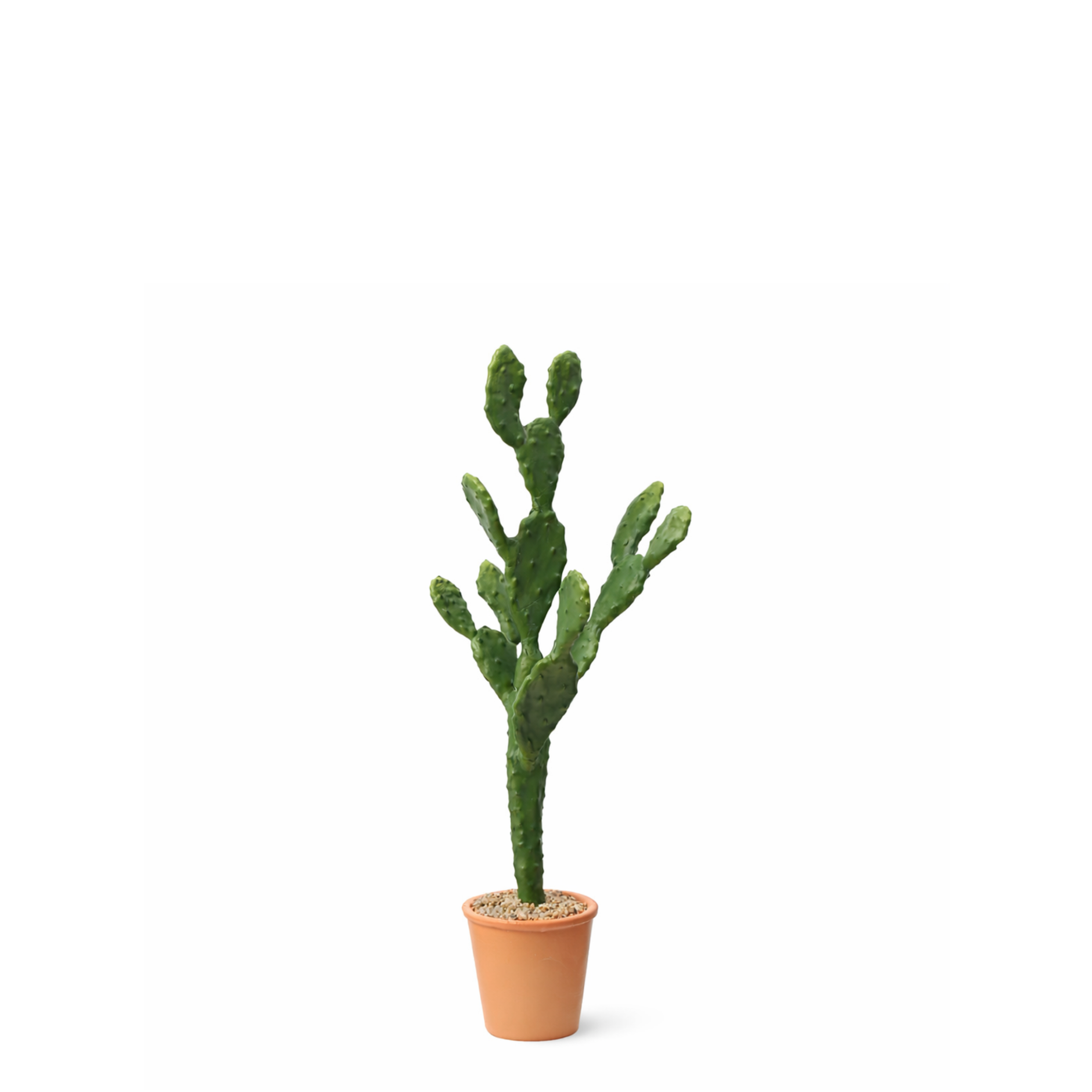 Cactus décoratif extérieur droit acier 150cm taupe | Jardin et Saisons