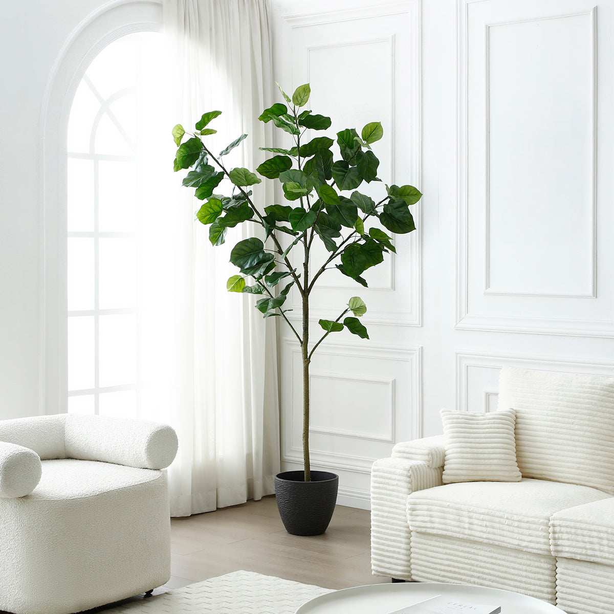 Ombrellone Ficus in vaso 210cm