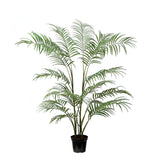 Areca Palm Tree in Pot 180 cm