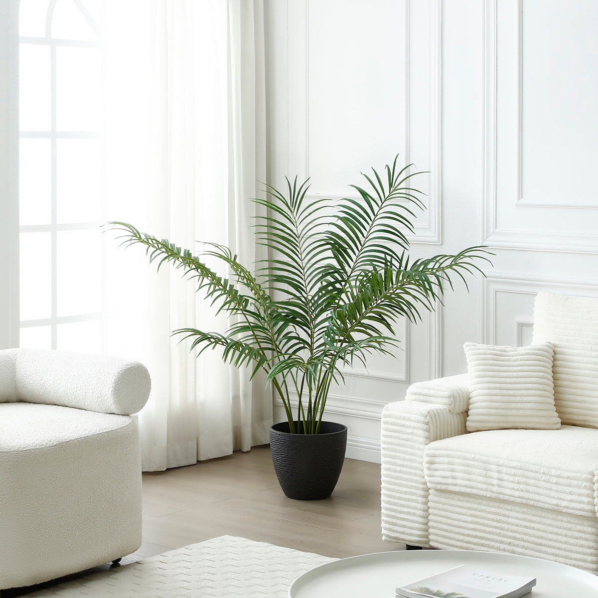 Palma Areca in vaso 120 cm