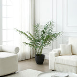Areca Palm Tree in Pot 120 cm