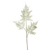 Allium IZIA NOEL