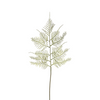 Allium IZIA NOEL