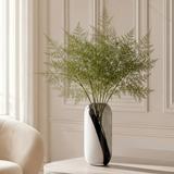 Asparagus Foliage
