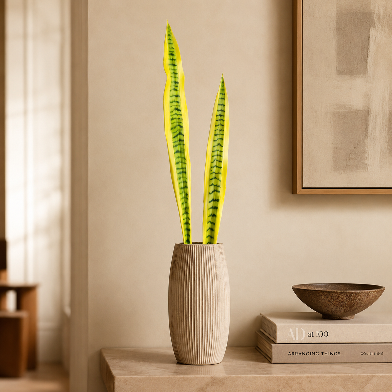 Feuilles de Sansevieria