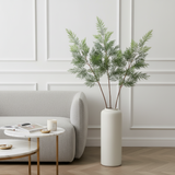 Australian Fern Foliage