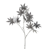 glittering maple foliage