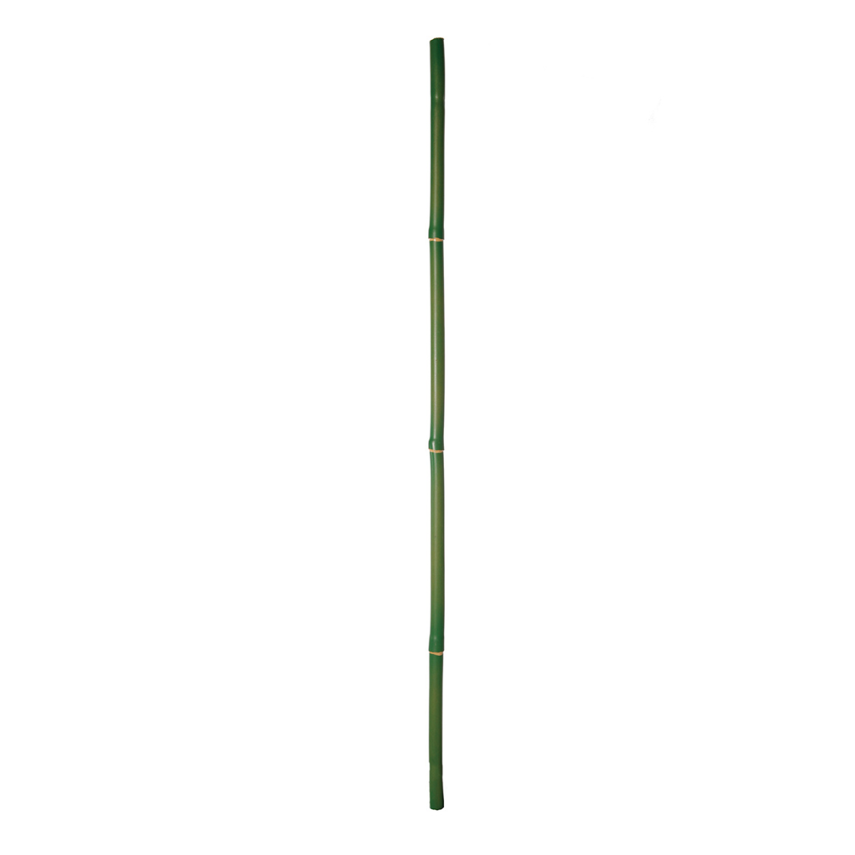 rama de bambú 