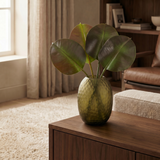 Foglie di Ficus