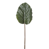 Hoja de hosta helada