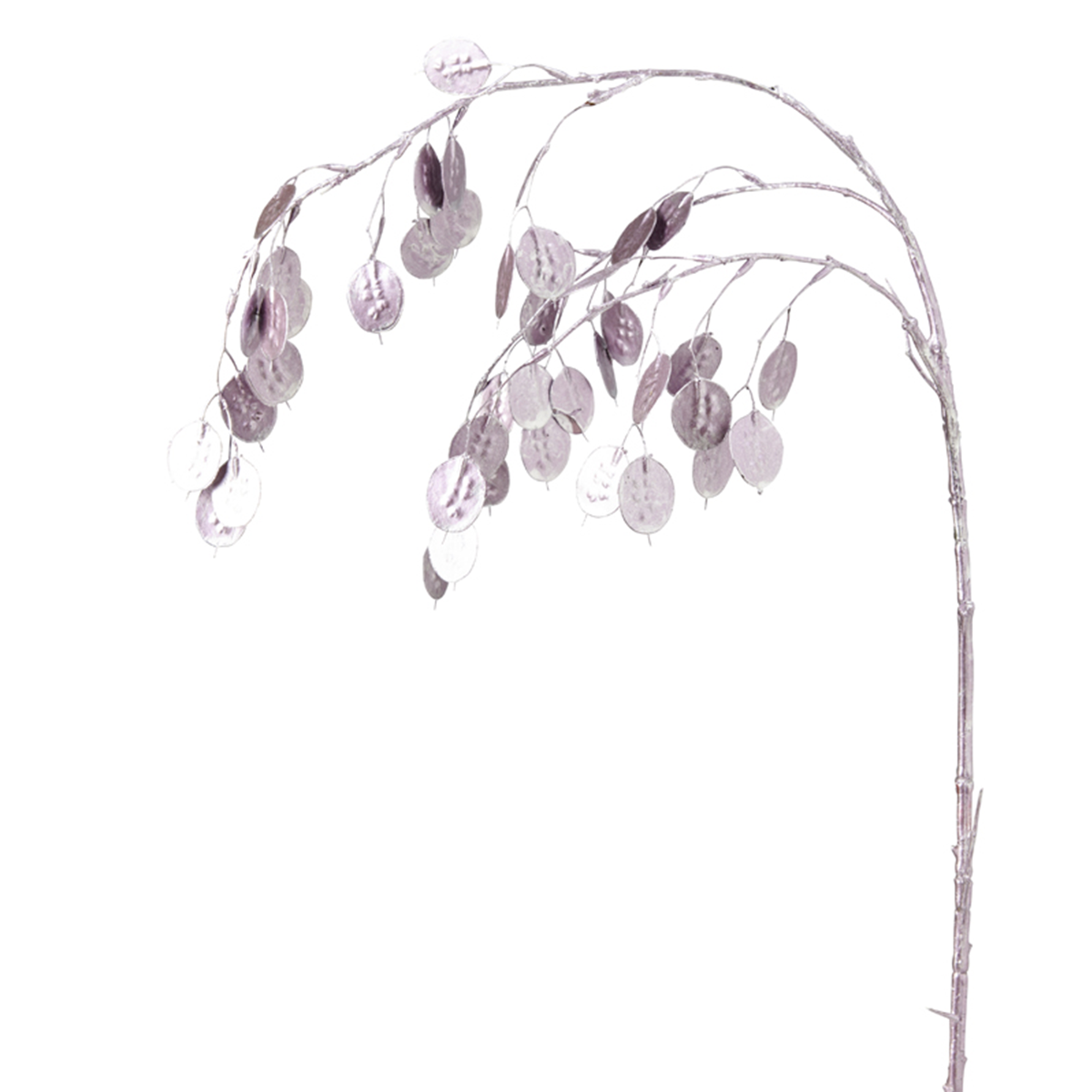 Rama de flor de plata lunaria