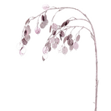 Metallic Lunaria Foliage