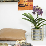 George Cushion Cover