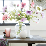 Two Medium Format Lantern