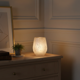 Snowy Large Format Lantern