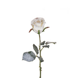 Snowy Rose Stem Christmas