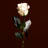 Snowy Rose Stem Christmas