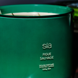 Scented Candle Wild Fig L