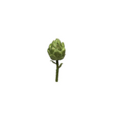 Artichoke Stem Small Size