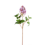 Lilac Stem Small Size