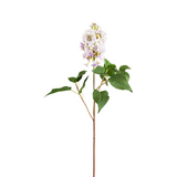Lilac Stem Small Size