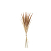 Pampa Bouquet 7 stems 50 cm
