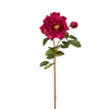 Gambo aperto di Rose David