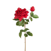 Gambo aperto di Rose David