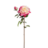 Gambo aperto di Rose David