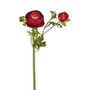 Buttercup Stem