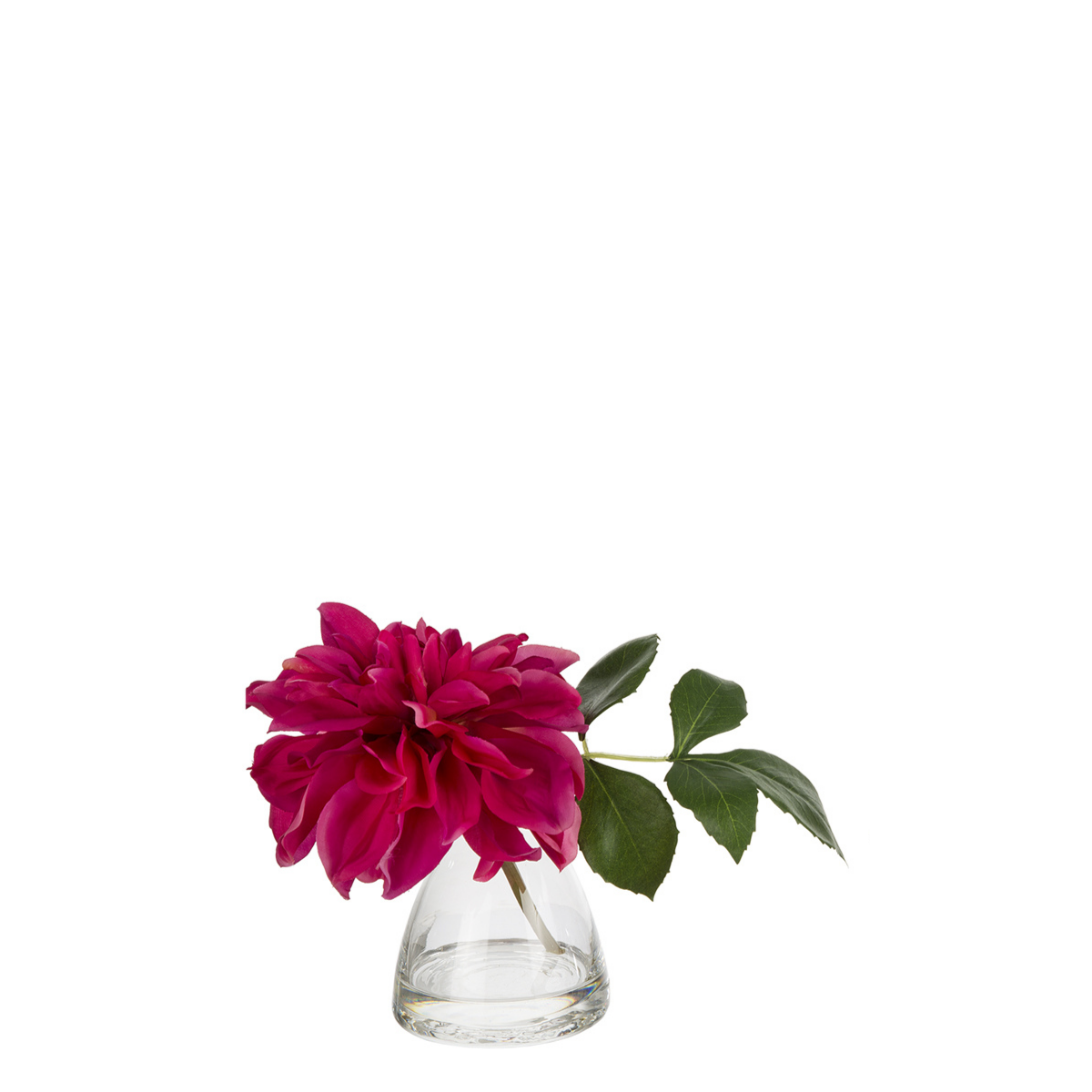 Dahlia en illusion d'eau