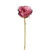 Chiuso Rose Leslie Rod