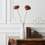 Tallo abierto de rosa Leslie