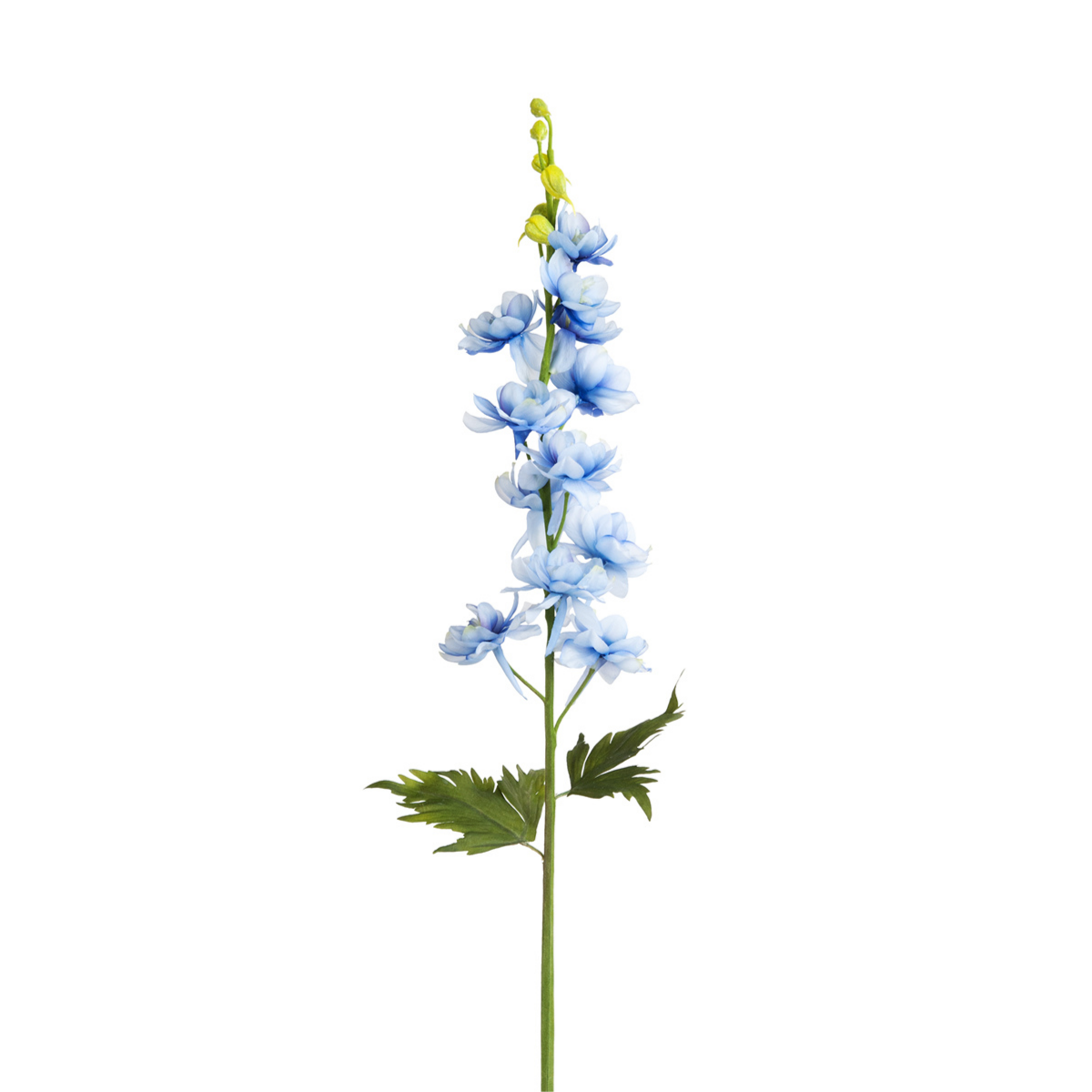 Tige de Delphinium Petit Format