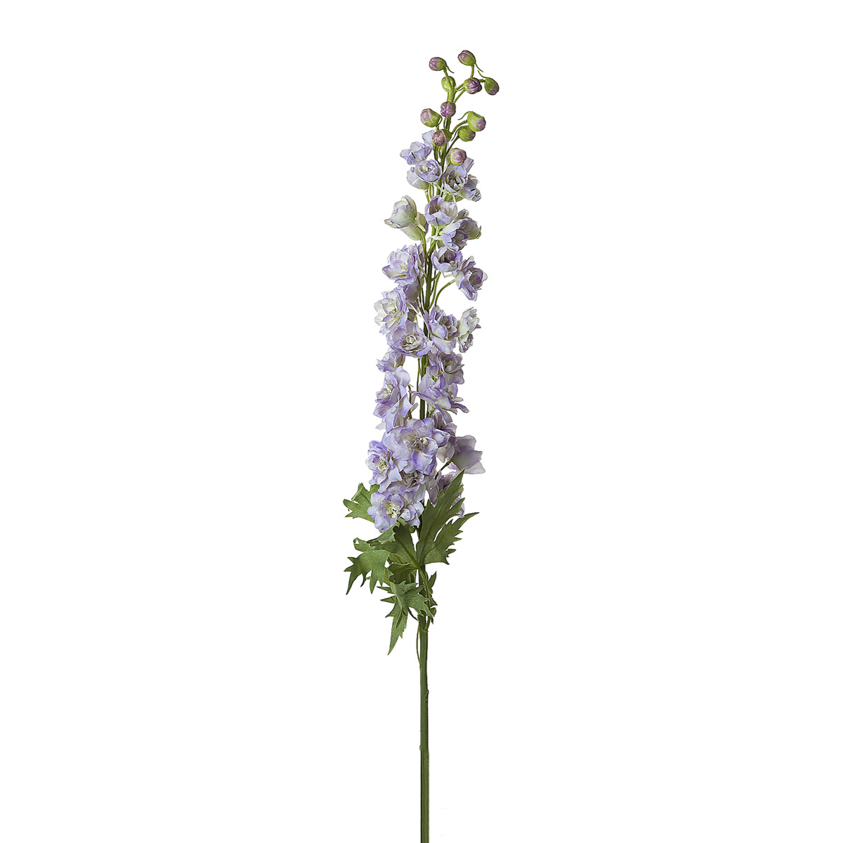 Tige de Delphinium Grand Format