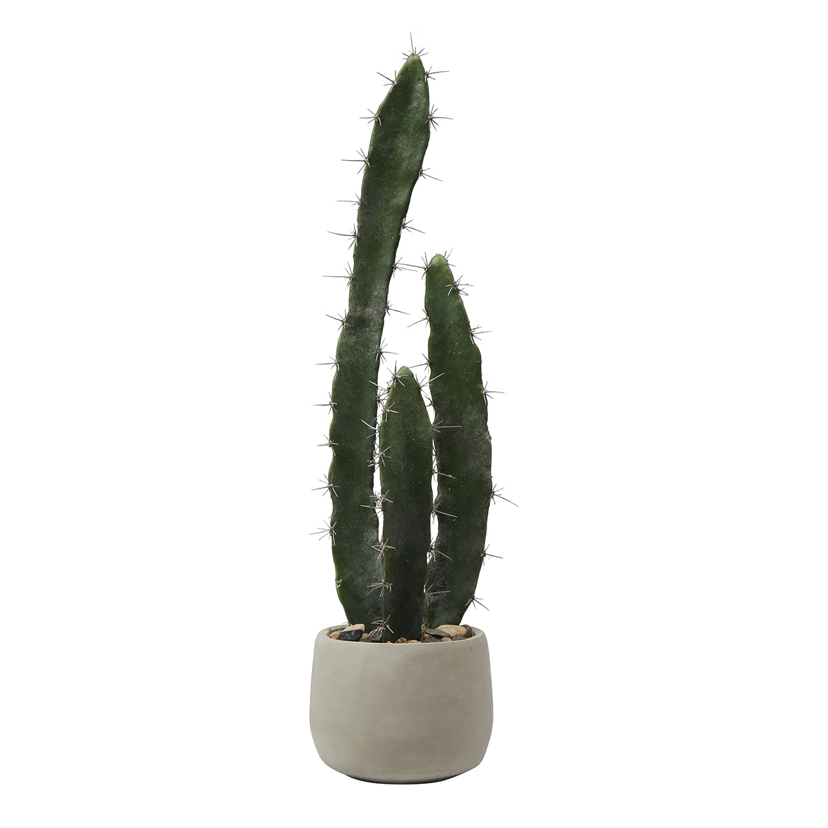 Cactus dans un pot en céramique 64cm