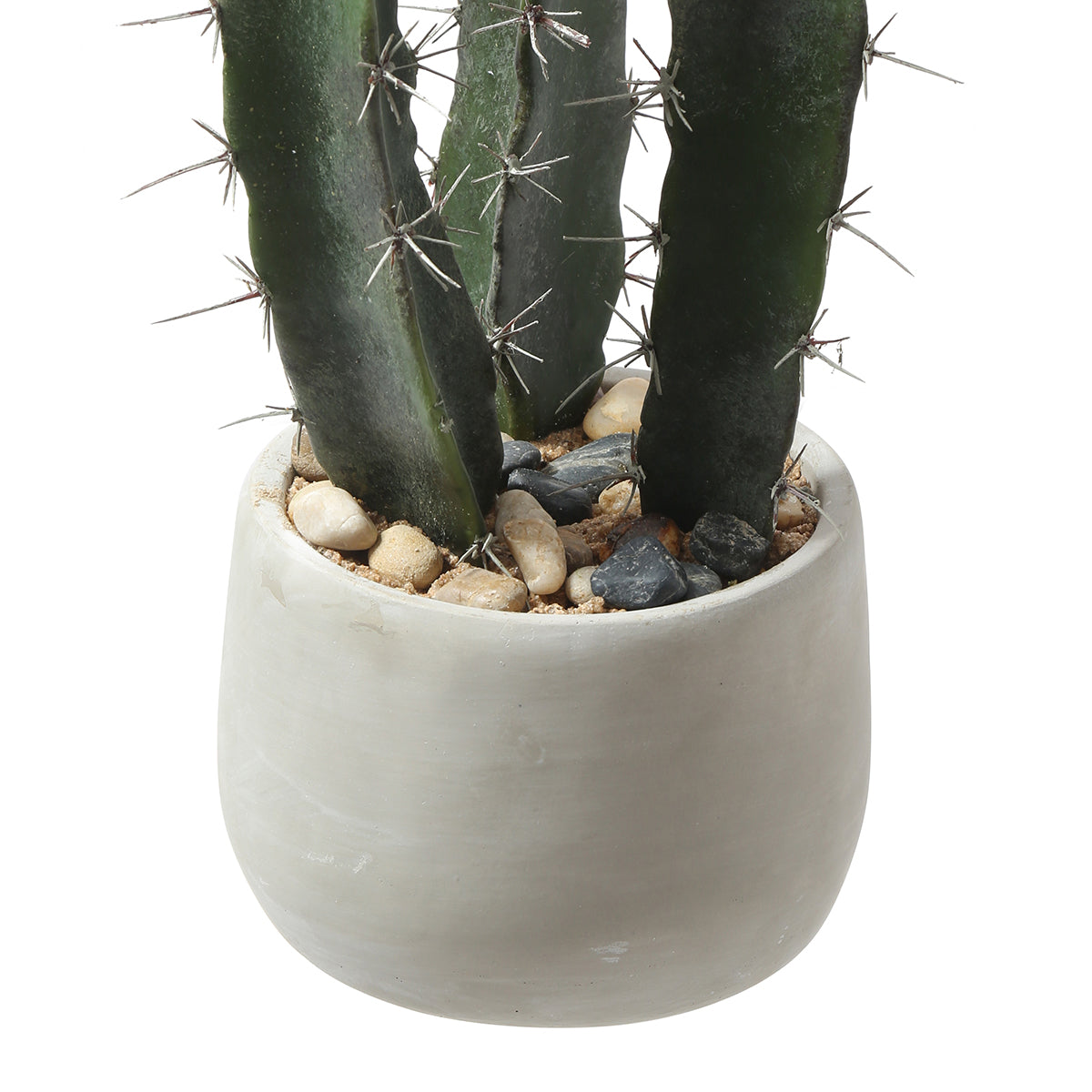 Cactus dans un pot en céramique 64cm