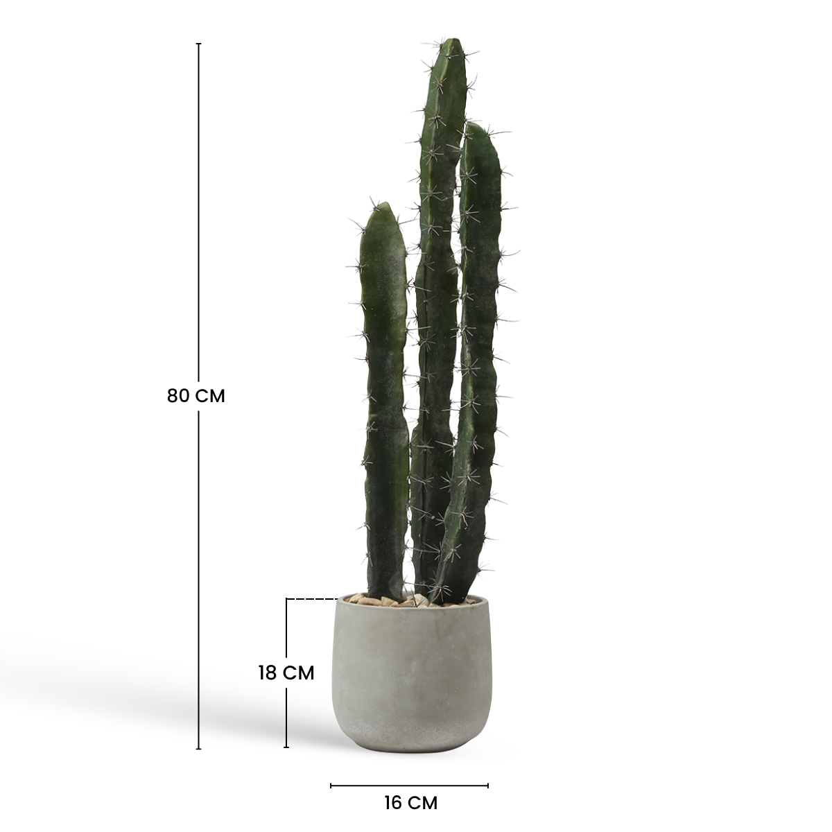 Cactus en maceta de cerámica 80cm