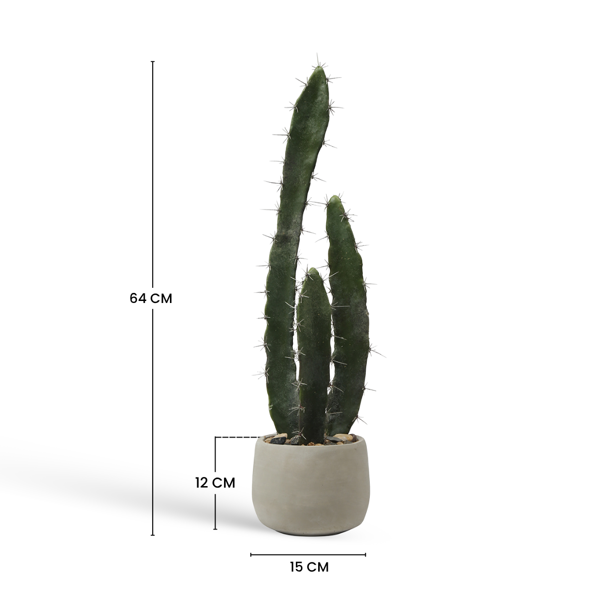 Cactus in vaso di ceramica 64cm