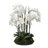 Artificial Orchid Arrangement with Moss 90cm