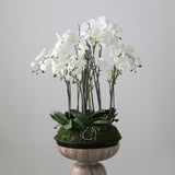 Artificial Orchid Arrangement with Moss 90cm