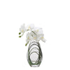 Composizione di orchidee artificiali con vaso ed erba orsina 29 cm