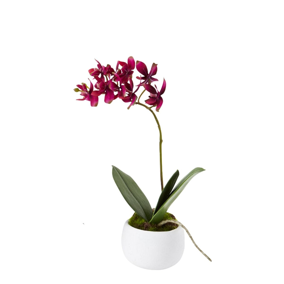 Composizione di orchidee artificiali