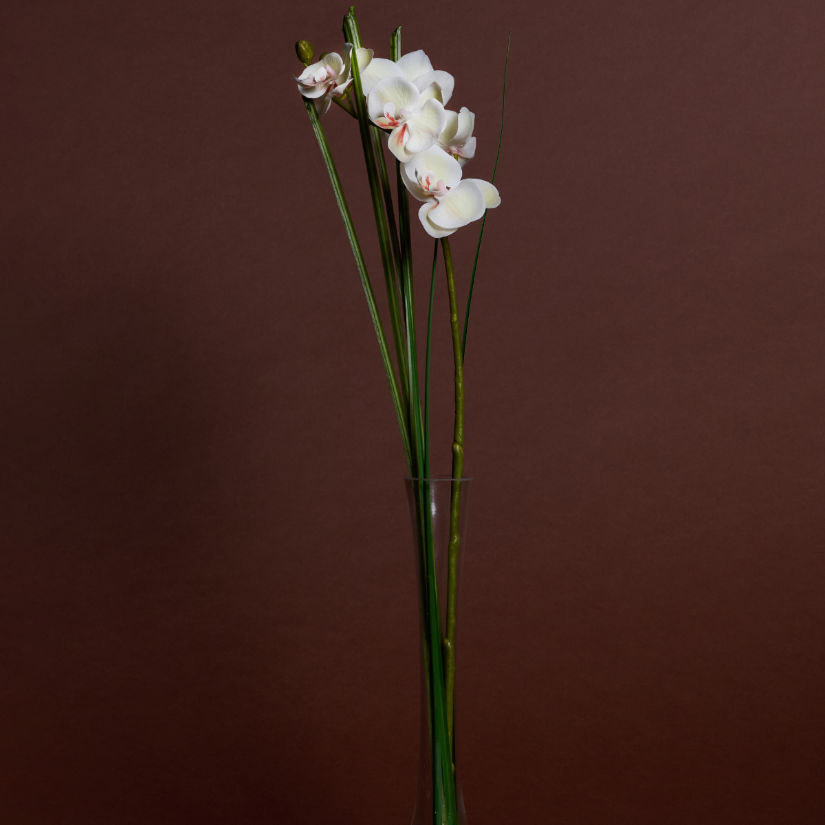 Orquídea en ilusión de agua