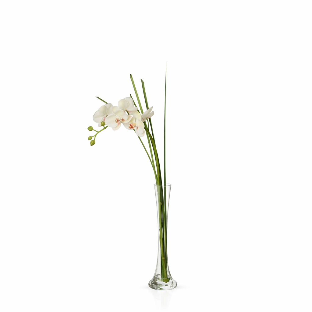 Orchidée blanche en illusion d'eau vase fin transparent