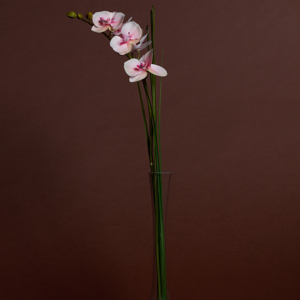 Orquídea en ilusión de agua