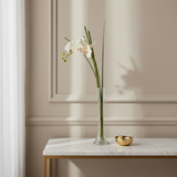 Orchidée blanche en illusion d'eau vase fin transparent dans salon haussmannien beige sur console en marbre blanc 