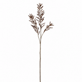 Bean Foliage