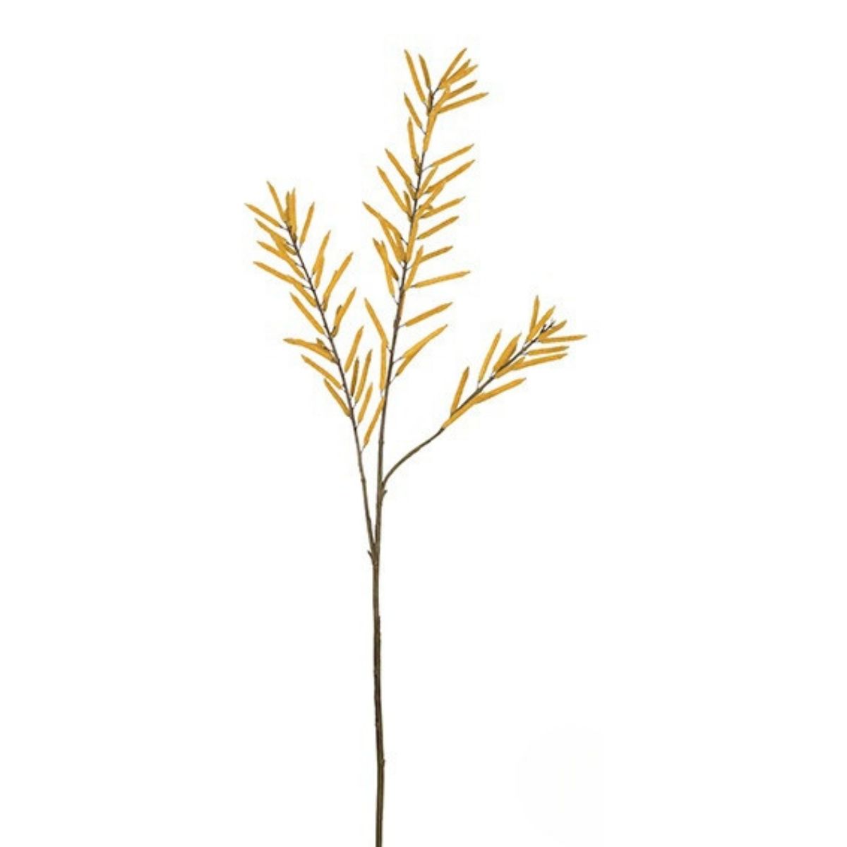 Bean Foliage