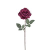 Rose Sophie a stelo chiuso